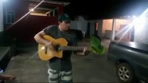 Parrot singer. Parrot sings with a guitar
