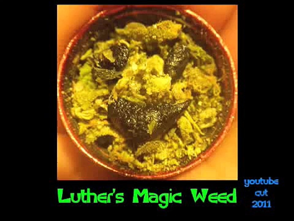 Luthers Magic Weed (part 1 of 6) 420 funny comedy stoner movie