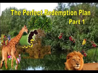 17 Perfect Redemption Plan, Part I Page 140 - 150