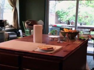 Squirrel Loose in Living Room