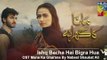 Mana Ka Gharana OST Title Song Hum TV by Nabeel Shaukat Ali