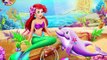 Disney Princess Ariel Dolphin Wash - Disney Princess Game Cartoon - Baby Video Games