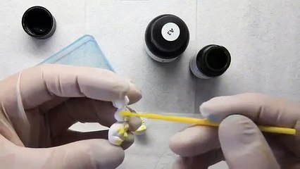 Shading the BioZX2 Zirconia at DT Technologies