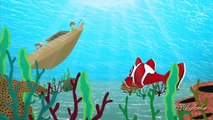 Kırmızı Balık Gölde Kıvrıla Kıvrıla Yüzüyor - Edis ile Feris Bebek Şarkıları