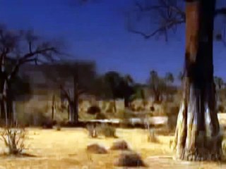 Lion vs Buffalo real fight - Fight Hard to death