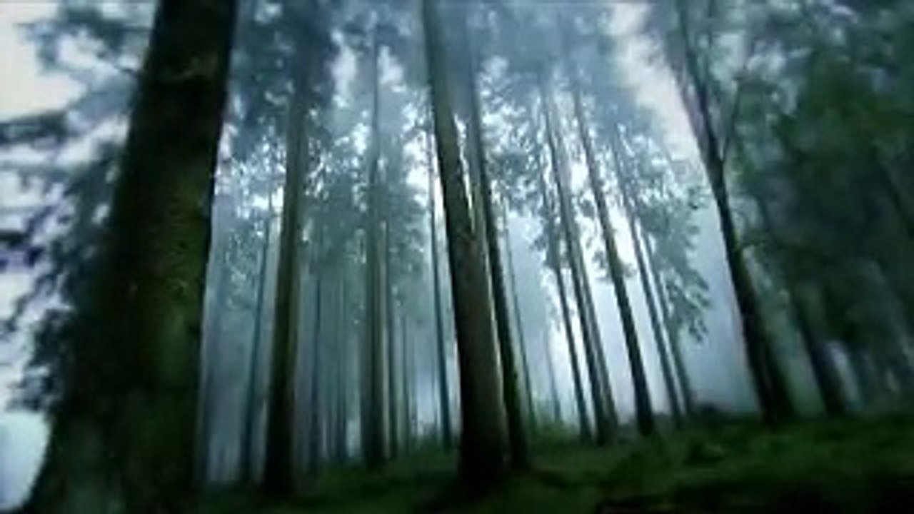 Aston Martin V8 Vantage N42