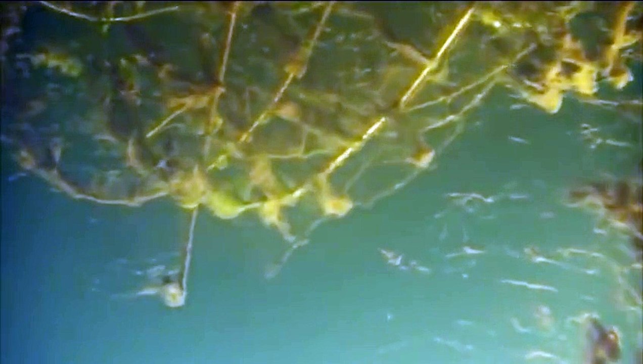 Рыбалка часть 21 Подводная съемка