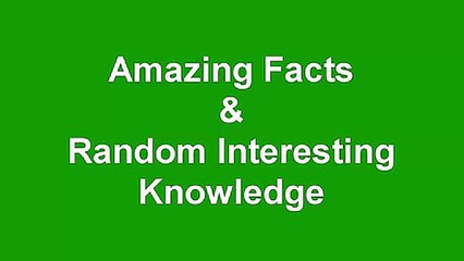 Amazing Facts & Interesting Knowledge! Fun Random Facts