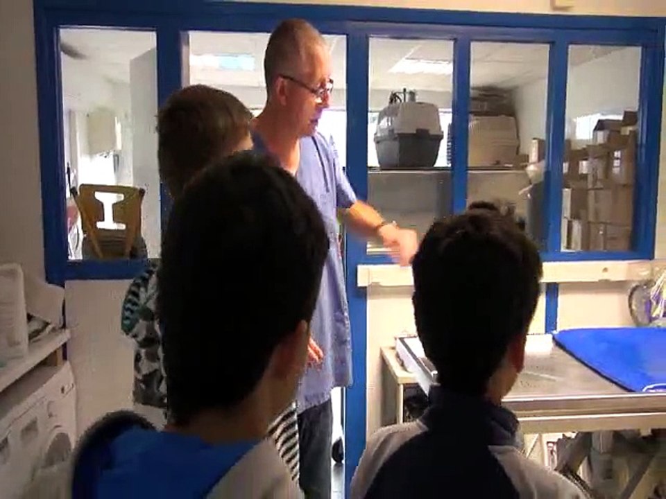 Visite chez le vétérinaire Historéelles 2015