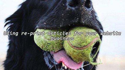Publish Articles for Profit