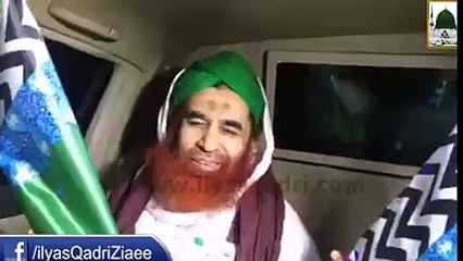 MADNI phool for jummah