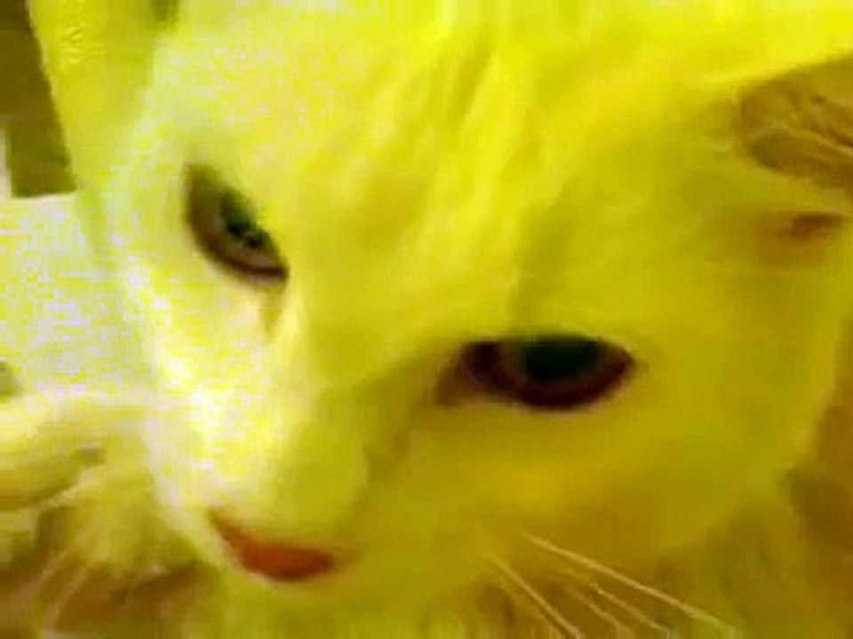 hasser.abdul2015@yandex.ru
