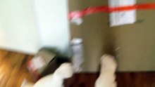 gsamuello@mail.ru
