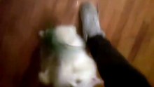 pultinu@mail.ru