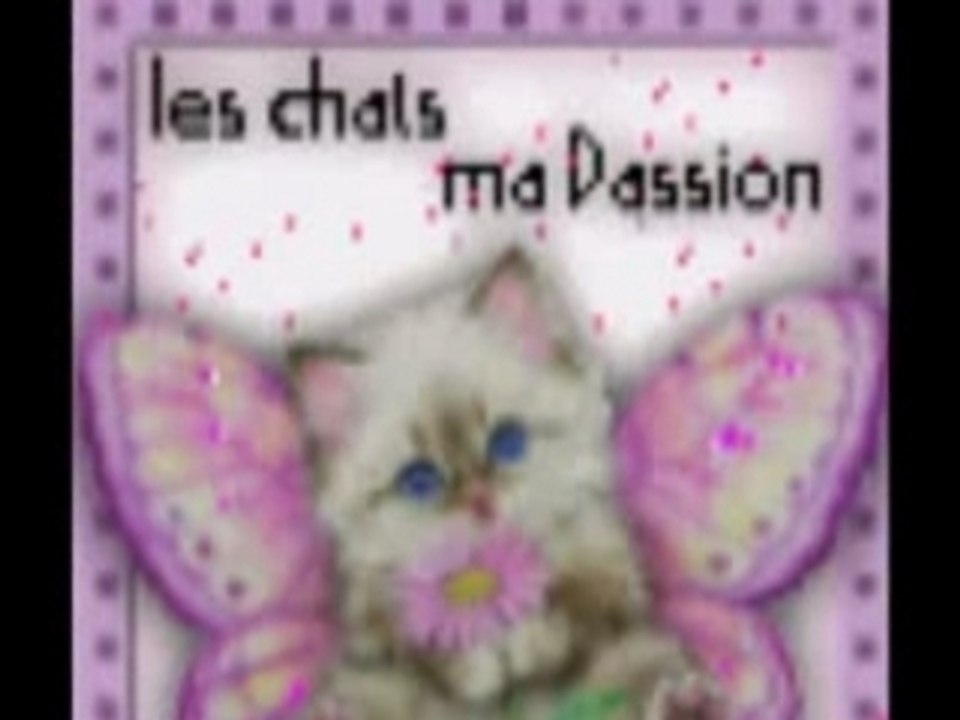 CADEAU POUR CATHOUNETTE, LES CHORISTES