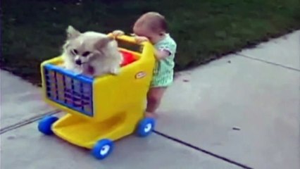 ☺ Americas Funniest Home Videos Part 13 | OrangeCabinet