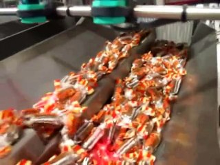 TECHNO D – Packaging machine for wrapped candies and biscuits