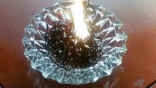 【논현건마】OP―udaiso02.cＯm―강북오피―간석오피∏왕십리오피