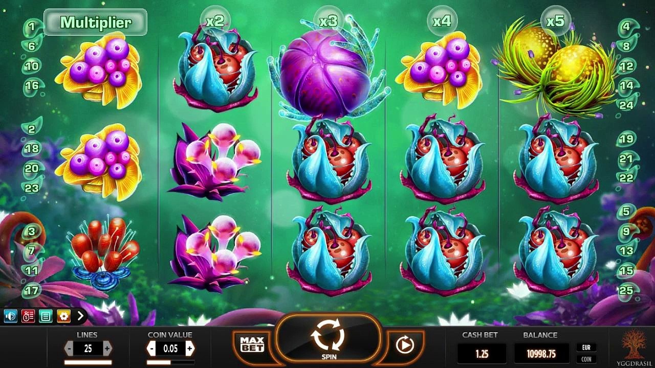 Fruitoids