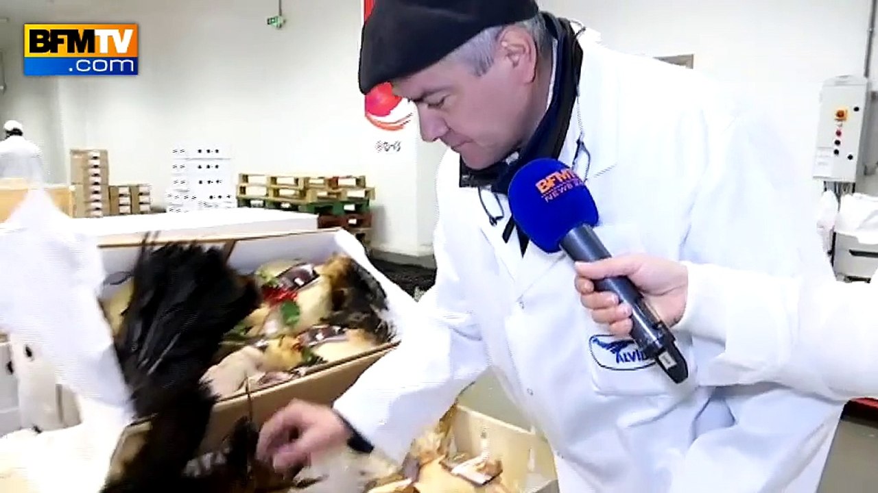 Grippe aviaire: aucune inquiétude sur le marché de Rungis