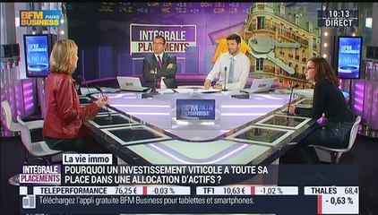 La vie immo: Est-il rentable d'investir dans un vignoble ? – 11/12