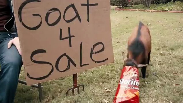 Doritos Super Bowl Commercial: Goat 4 Sale