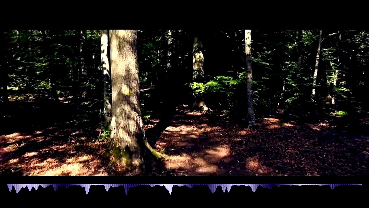 My Amazing - Drop Out