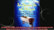 In Search of Hope One Womans Journey Through Despair in the Wake of Neonatal Death