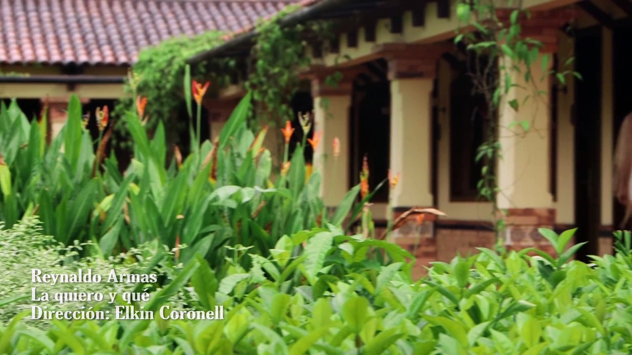 LA QUIERO Y QUE   REYNALDO ARMAS (1080p)
