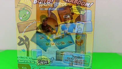 Angry Birds On Thin Ice Game