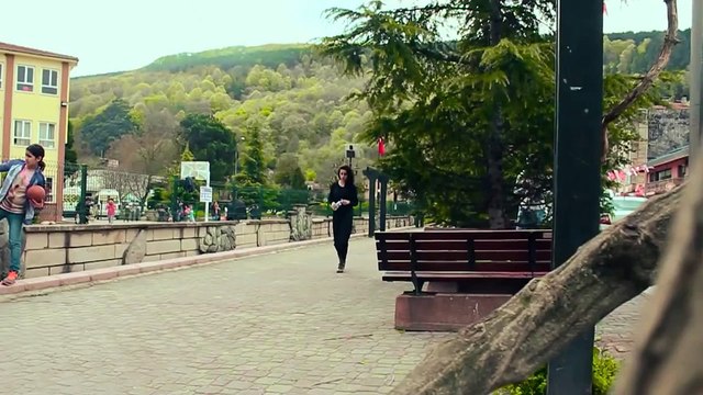 En échange de bouteilles en plastique, cette machine nourrit les chiens errants