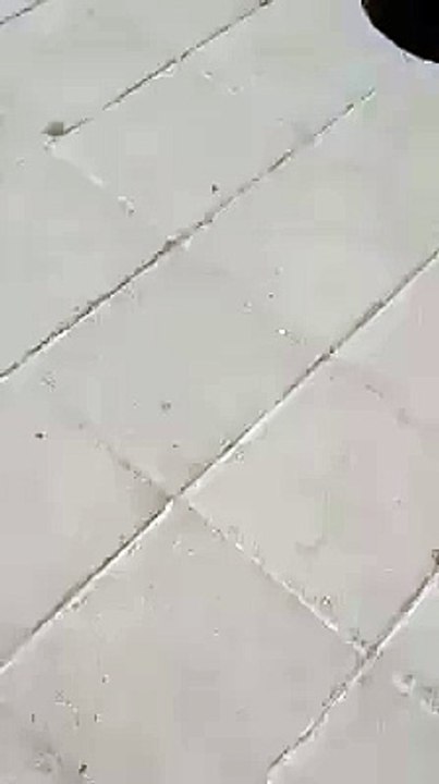 VID-20151028-WA0056