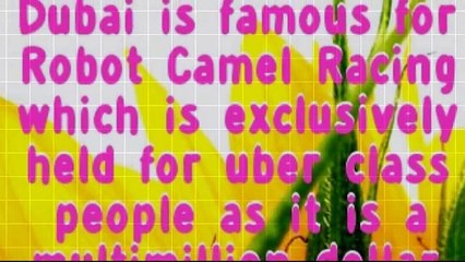 Unbelievable facts about Dubai you should know