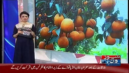 Pkg Kino Bilal Sargodha M.Bilal 11 Dec 2015