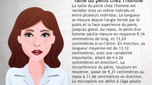 Taille du pénis chez l'homme