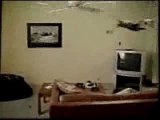 Funny Commercials Nokia Cat Ceiling Fan