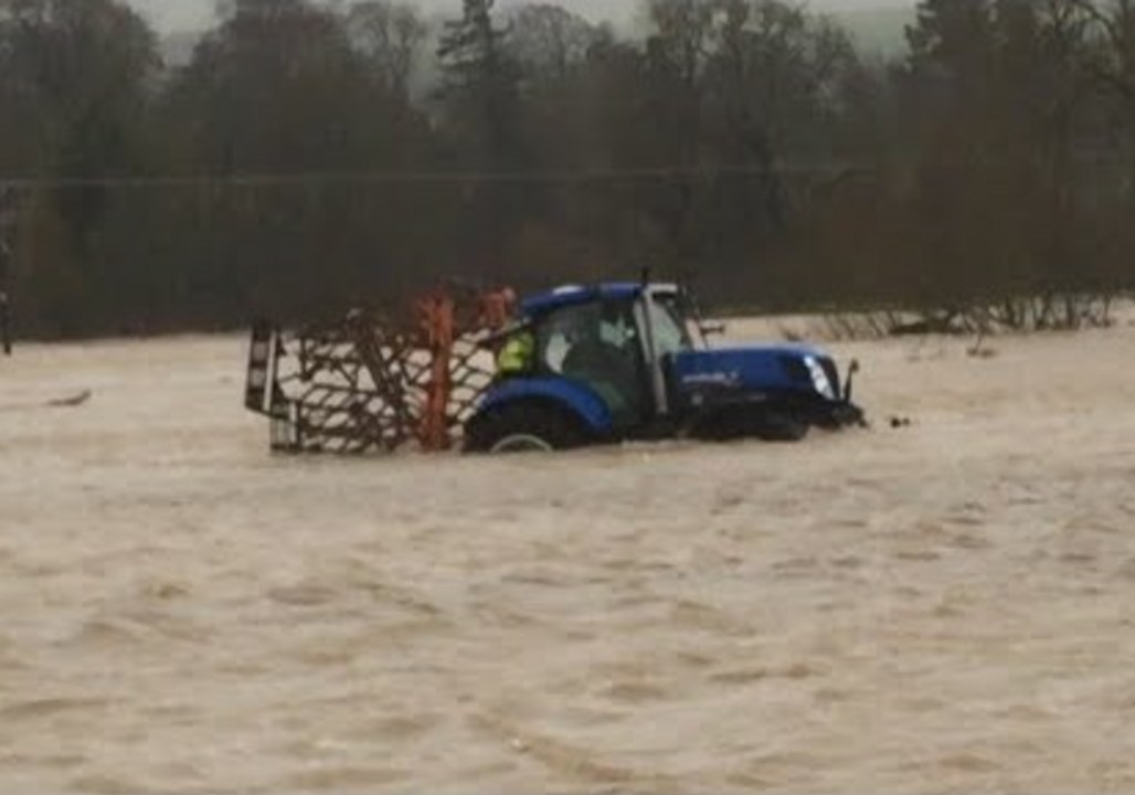 Tractor Used to Save Horses Stranded by Floods