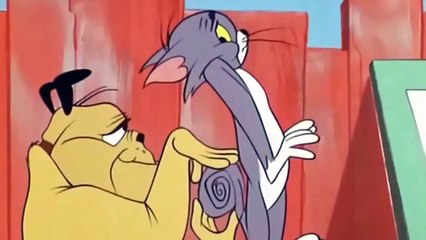 Tom and Jerry Much Ado About Mousing