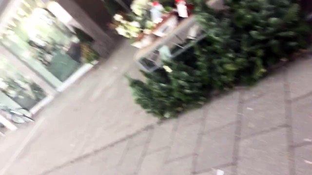 trim.3E94606F-CA61-4266-A38A-1063E918B7EE