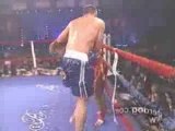 Peter Aerts - Muay Thai ( K1 )