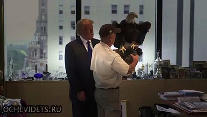 Тяжело в ученье, легко в бою...