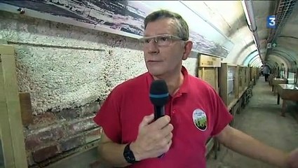 Picardie Matin en direct du Musée Somme 1916 à... - France 3