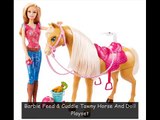 Doll (Collection Category) Barbie Feed & Cuddle Tawny Horse And Doll Playset