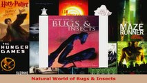Read  Natural World of Bugs  Insects EBooks Online