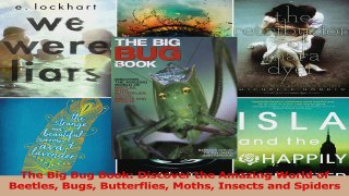 PDF Download  The Big Bug Book Discover the Amazing World of Beetles Bugs Butterflies Moths Insects and Read Online