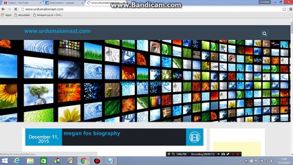 How to install new plugin into wordpress website
