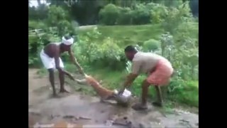 FUNNY FAILS OF INDIA AUGUST 2015