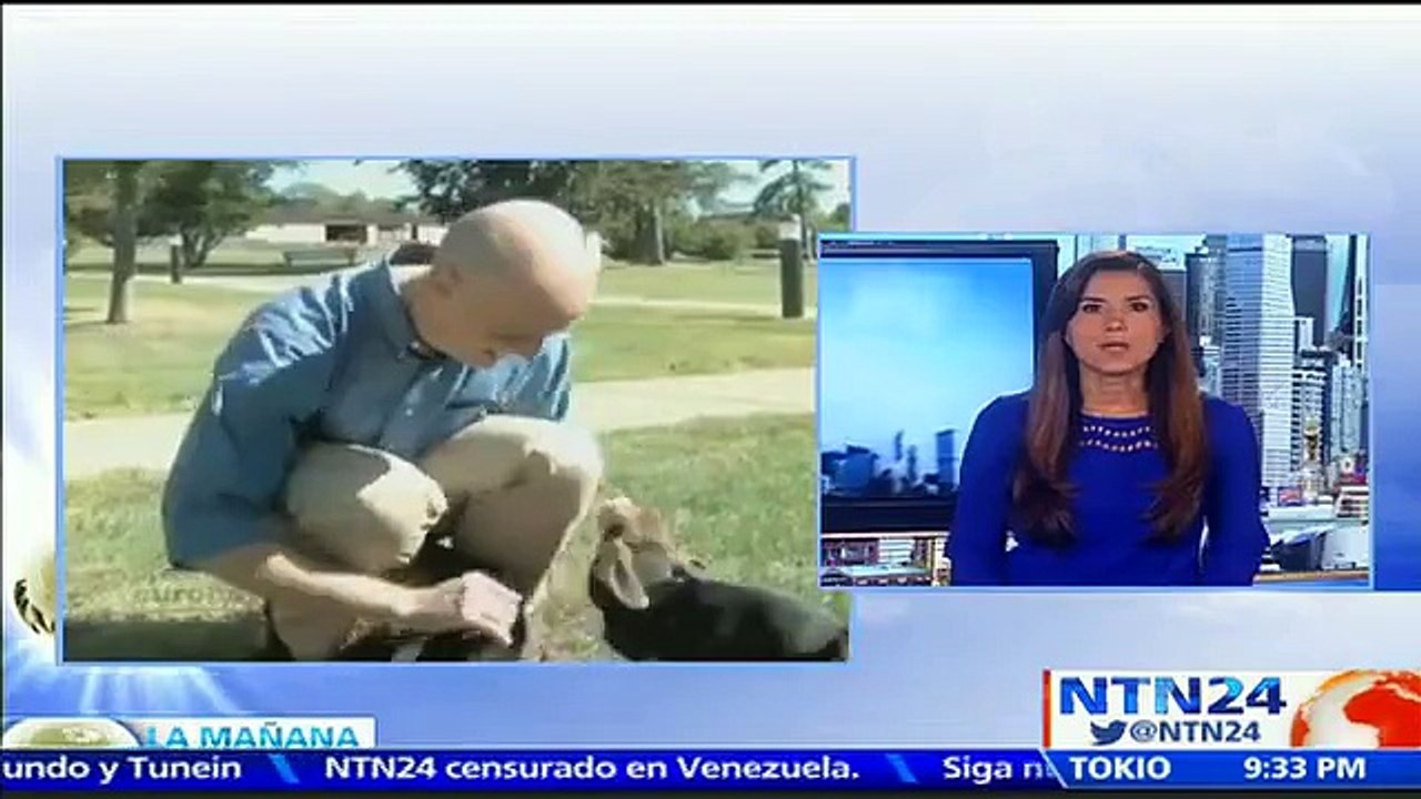 Nace en EE.UU. la primera camada de perros por fecundación in vitro