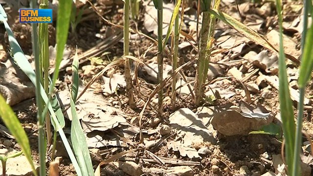 Auvergne-Rhône-Alpes, un poids lourd aux richesses inégales