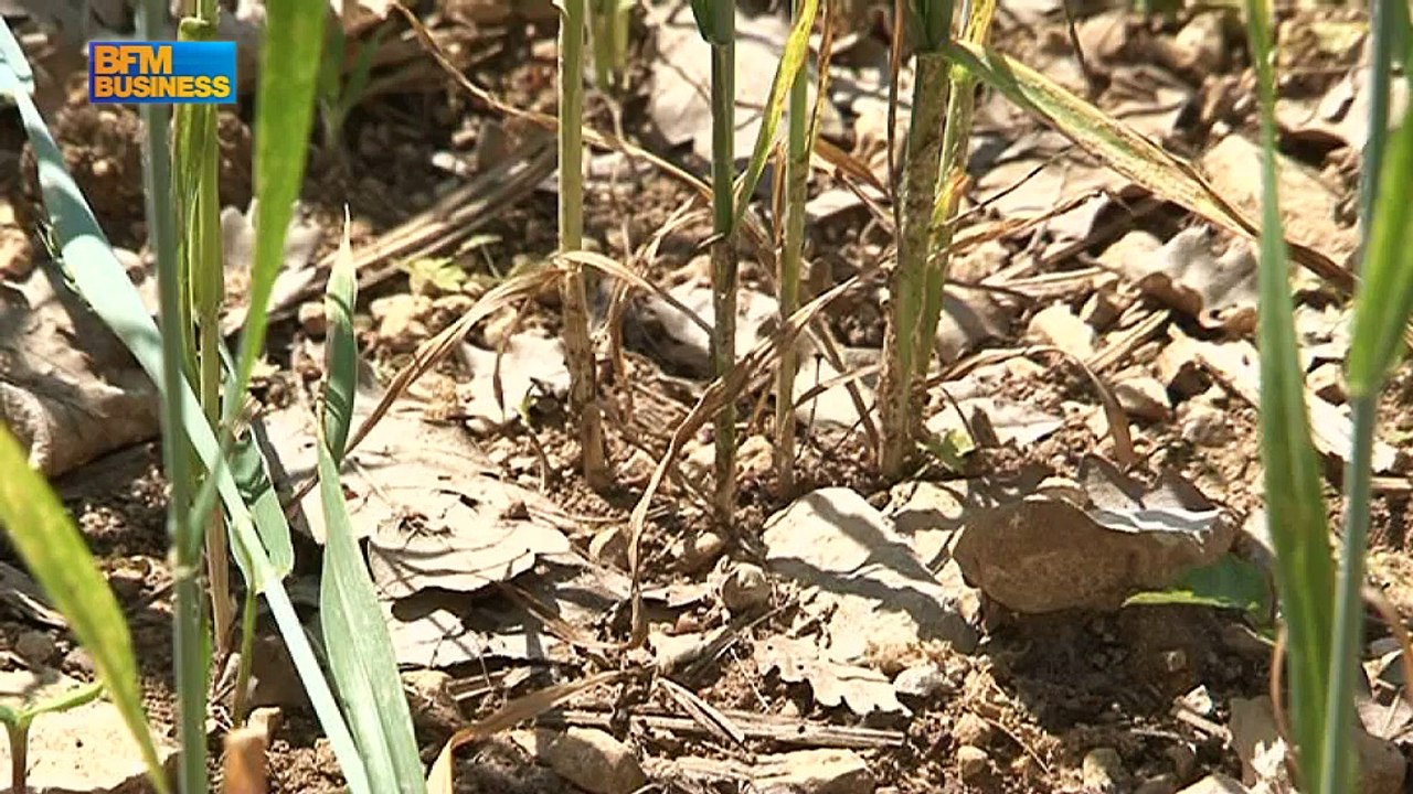 Auvergne-Rhône-Alpes, un poids lourd aux richesses inégales